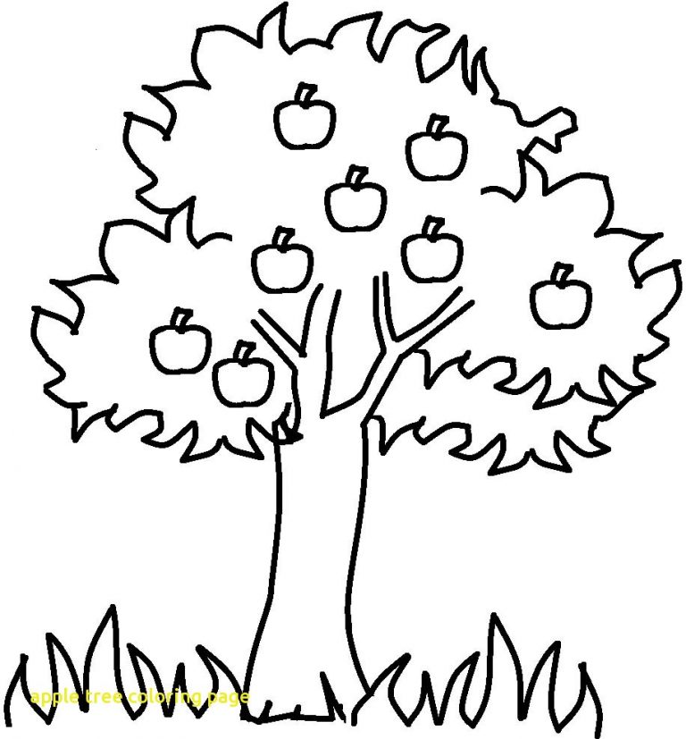 Coloring Pages Of Different Trees Fresh Helpful Apple Tree Page 768x827 Coloring Pages Of Different Trees Fresh Helpful Apple Tree Page
