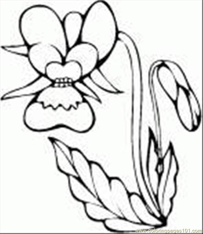 Orchid Flower Coloring Page 650x751 Orchid Flower Coloring Page