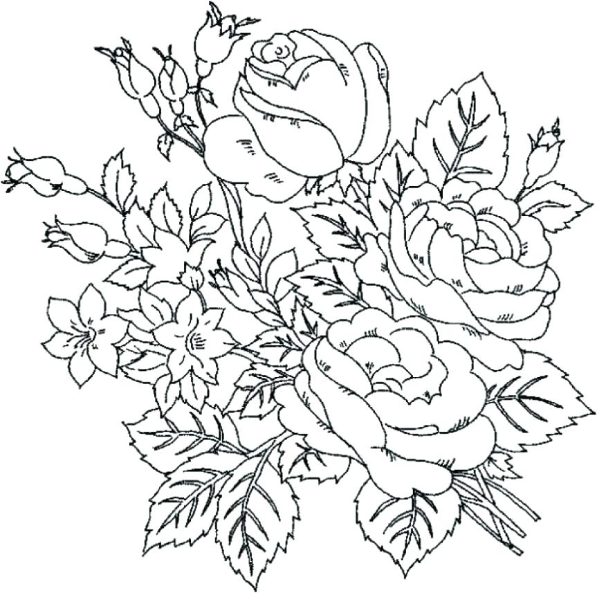 Printable Orchid Coloring Page Free Download At Orchid Orchid 863x857 Printable Orchid Coloring Page Free Download At Orchid Orchid