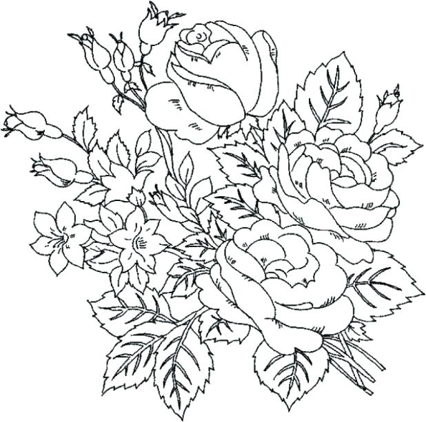 618x613 Orchid Coloring Pages Free Orchid Coloring Page Free Printable