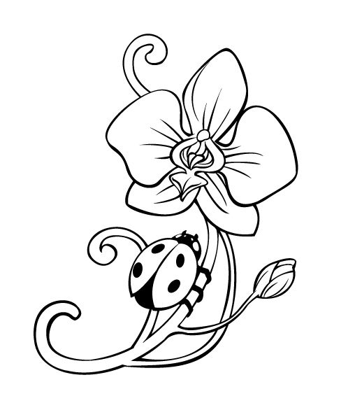 498x596 Orchid Tattoo Lineart By On @