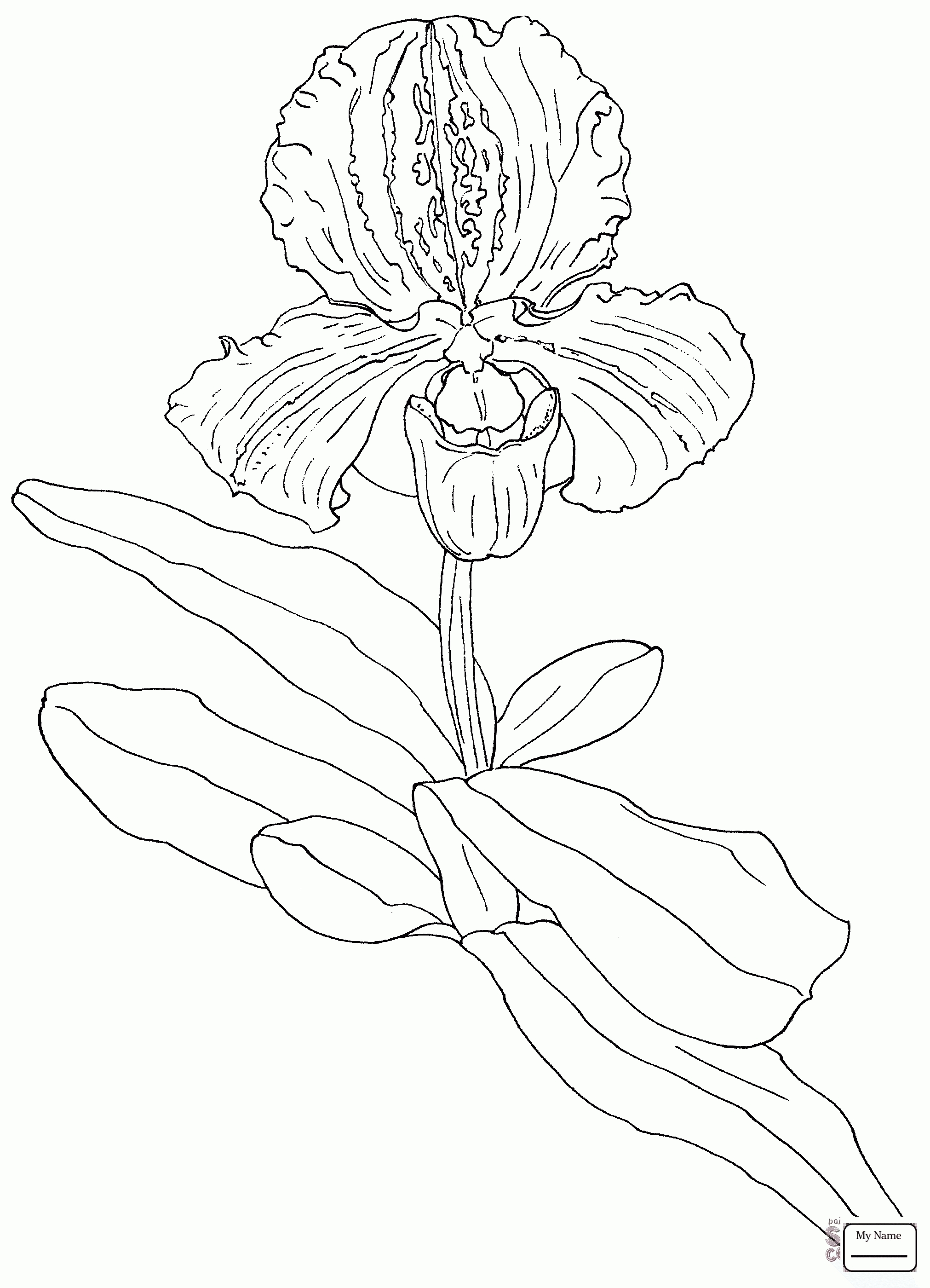 2022x2799 Unique Jewel Flower Coloring Pages Design Printable Coloring Sheet