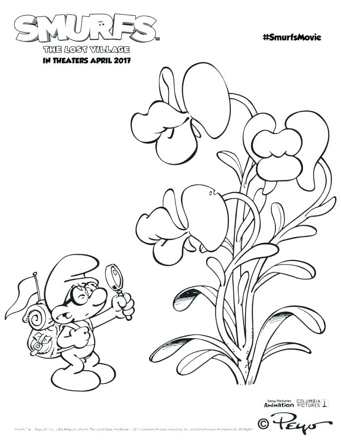 700x906 Orchid Coloring Pages Botany Coloring Pages The Smurfs Coloring