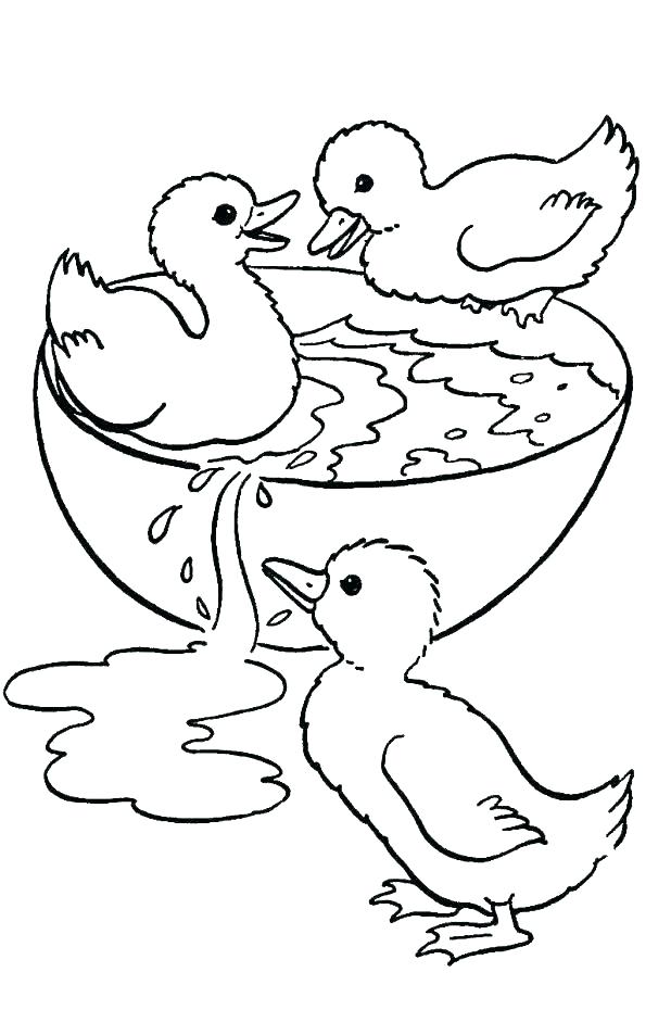 618x930 Ducks Coloring Pages Duck Coloring Pages Mother Of Duck Coloring