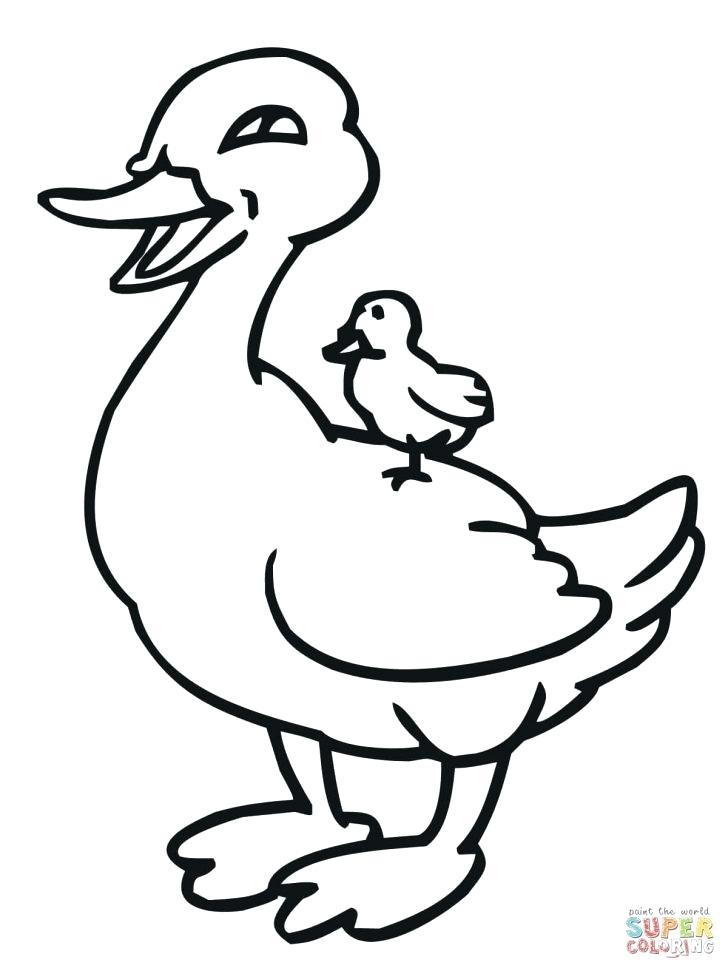 Oregon Ducks Coloring Page at GetColorings.com | Free printable