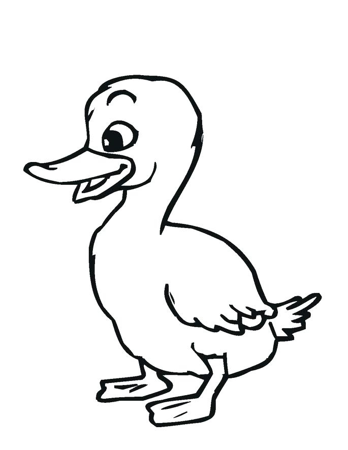 685x886 Duck Animal Coloring Pages Duck Coloring Page Oregon Duck Coloring