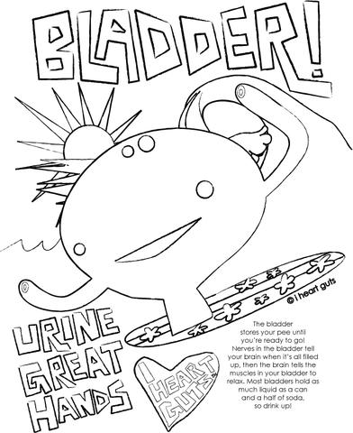 Bladder Coloring Page I Heart Guts 392x480 Bladder Coloring Page I Heart Guts