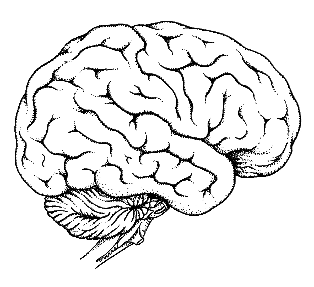 Brain Coloring Pages 1198x1098 Brain Coloring Pages