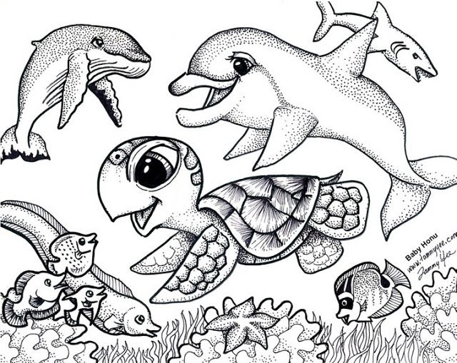Origami N' Stuff 4 Kids Coloring Baby Honu And Friends Ideas 640x509 Origami N' Stuff 4 Kids Coloring Baby Honu And Friends Ideas