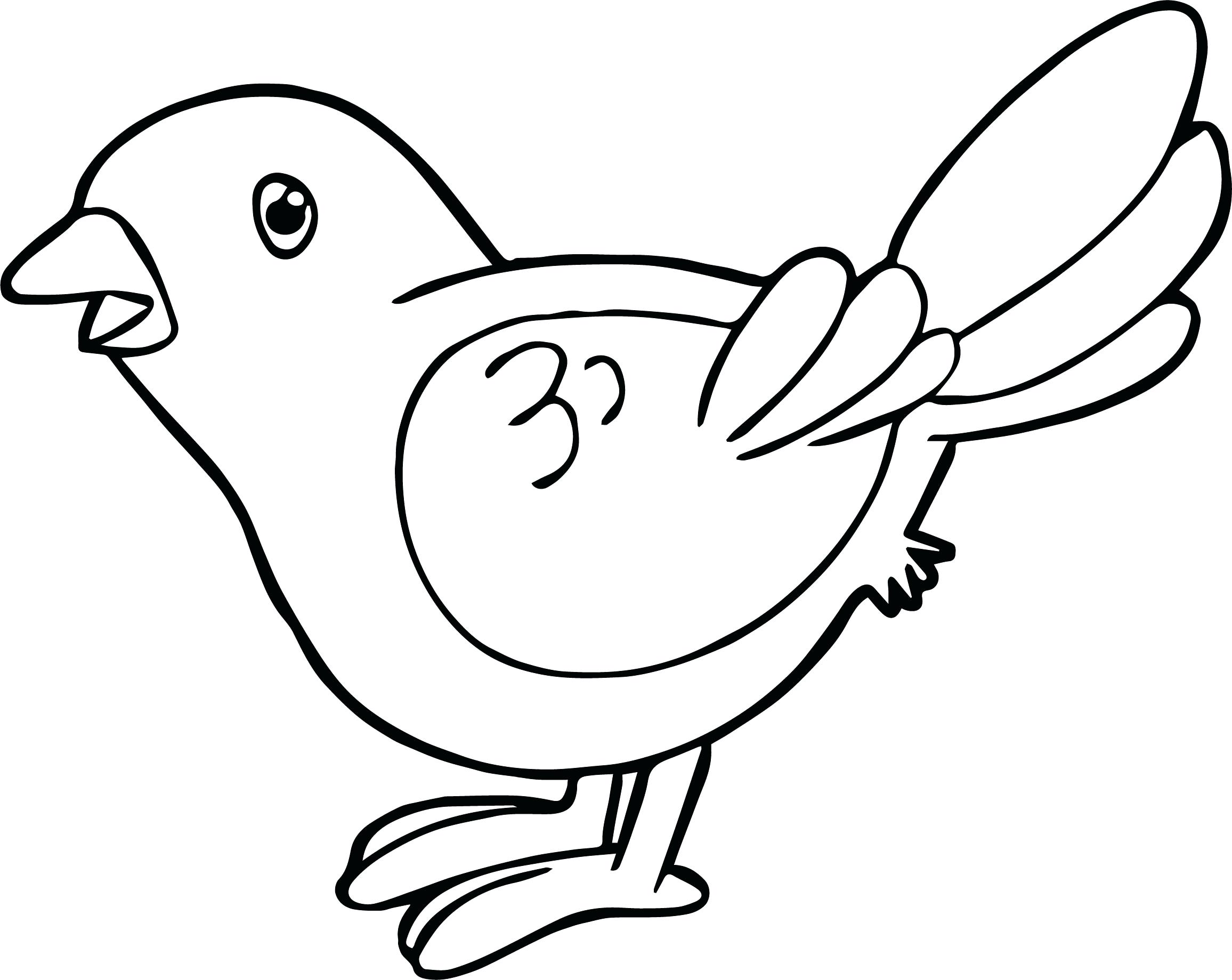 Bird Coloring Page To Print Oriole Free Printable Pages Pictures 2312x1839 Bird Coloring Page To Print Oriole Free Printable Pages Pictures