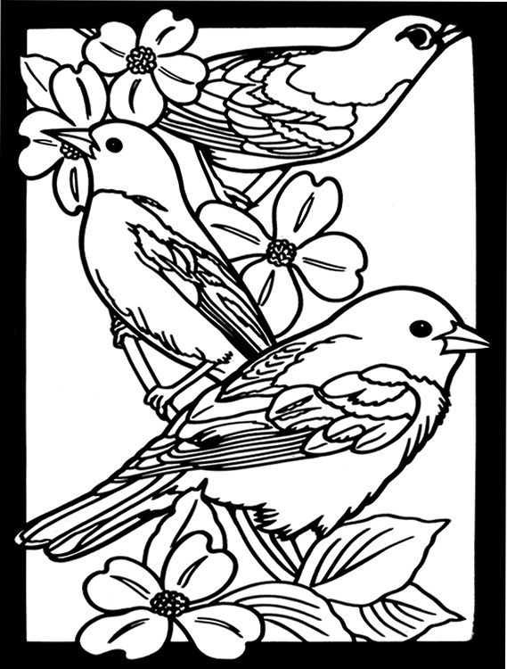 Favorite Birds Stained Glass Coloring Book Dover Publications 569x750 Favorite Birds Stained Glass Coloring Book Dover Publications