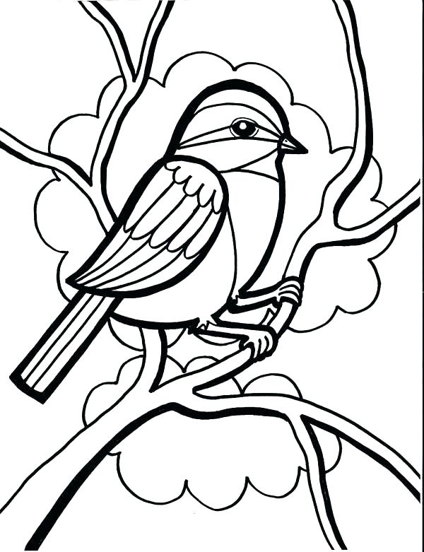 Chickadee Coloring Page Orioles Coloring Pages Chickadee Drawing 600x781 Chickadee Coloring Page Orioles Coloring Pages Chickadee Drawing
