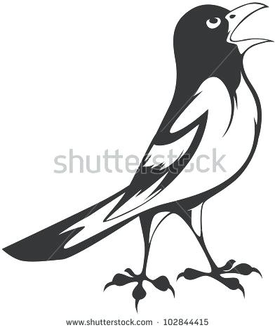 Creative Oriole Illustration Stock Vector Baltimore Orioles 392x470 Creative Oriole Illustration Stock Vector Baltimore Orioles