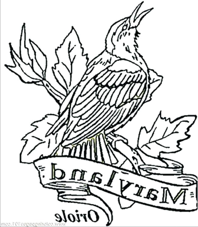 Drake Coloring Pages Orioles Coloring Pages Coloring Pages 650x745 Drake Coloring Pages Orioles Coloring Pages Coloring Pages