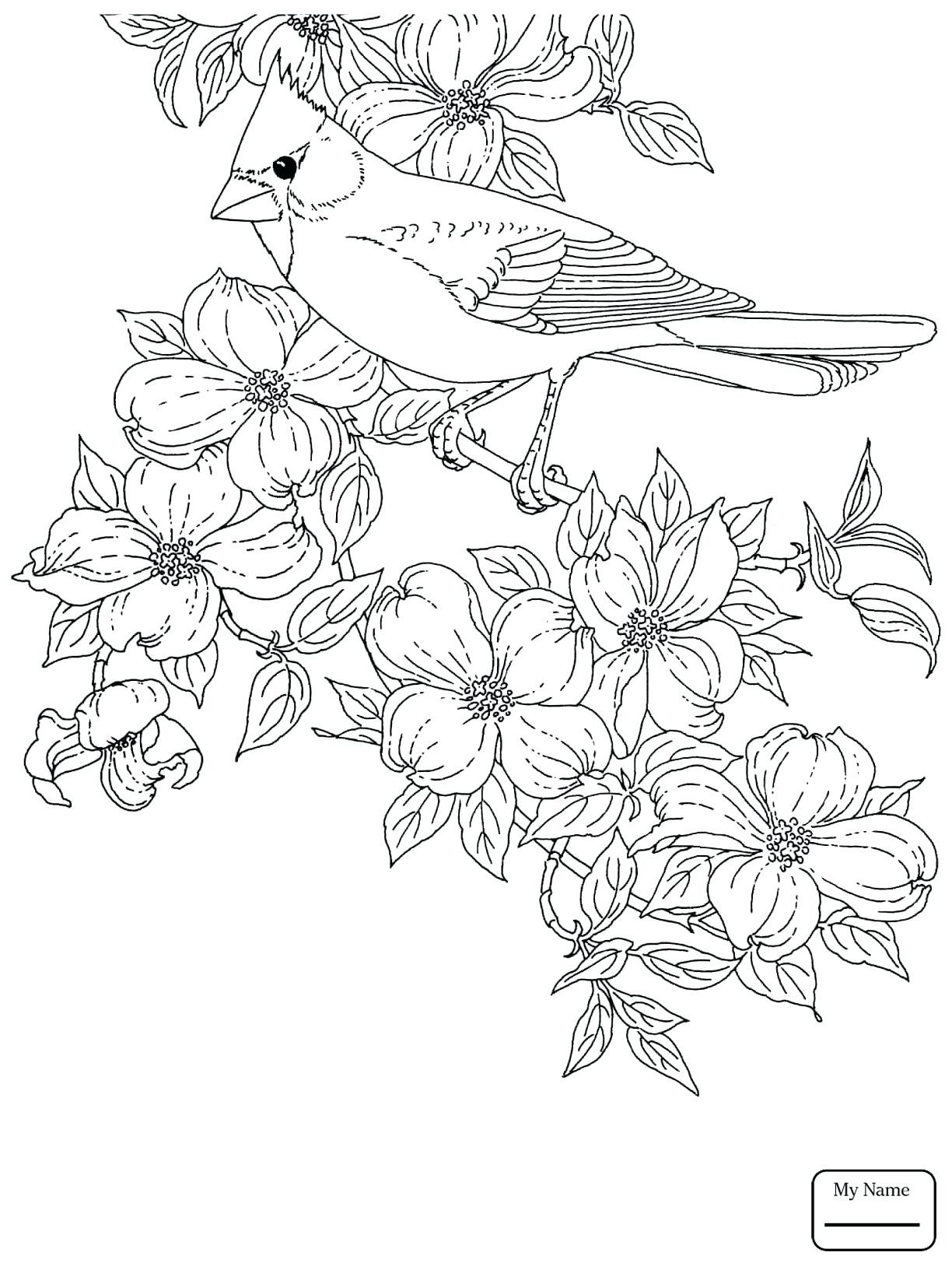 Emerging Baltimore Orioles Baseball Coloring Pages Fiscalreform 1224x1632 Emerging Baltimore Orioles Baseball Coloring Pages Fiscalreform