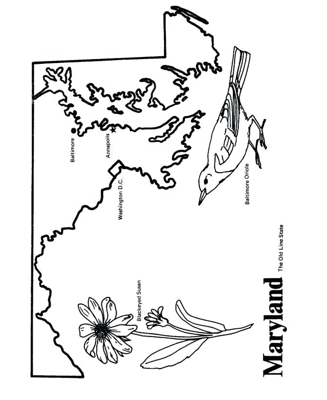 Baltimore Orioles Coloring Pages On State Outline Coloring 670x820 Baltimore Orioles Coloring Pages On State Outline Coloring