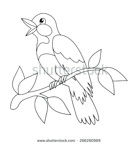 Baltimore Orioles Coloring Pages Oriole Bird Coloring Pages 450x470 Baltimore Orioles Coloring Pages Oriole Bird Coloring Pages