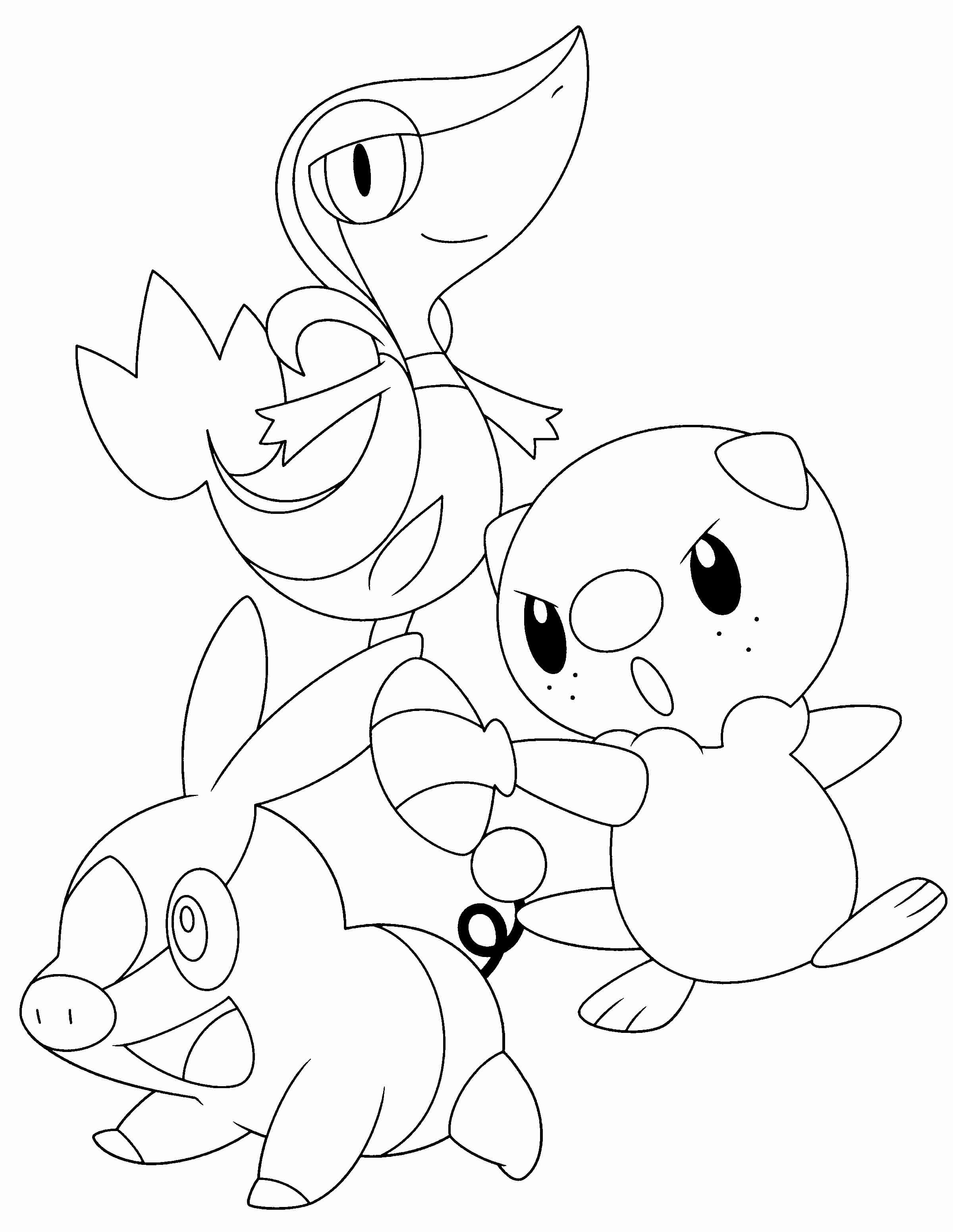 Coloring Pages Pokemon Oshawott Snivy And Tepig Google Search Fair 2400x3100 Coloring Pages Pokemon Oshawott Snivy And Tepig Google Search Fair