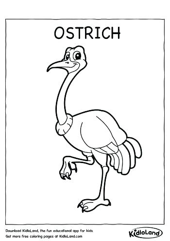350x495 Ostrich Coloring Page Ostrich Coloring Page With Ostrich Is Cannot