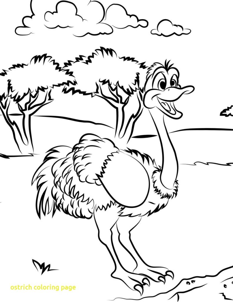 791x1024 Ostrich Coloring Pages Seanscoolass.co