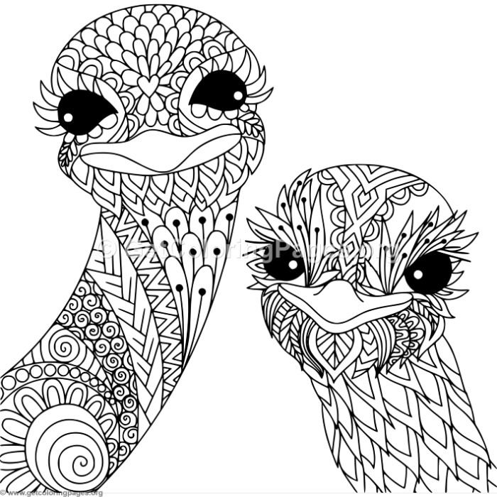 700x700 Zentangle Ostrich Coloring Pages