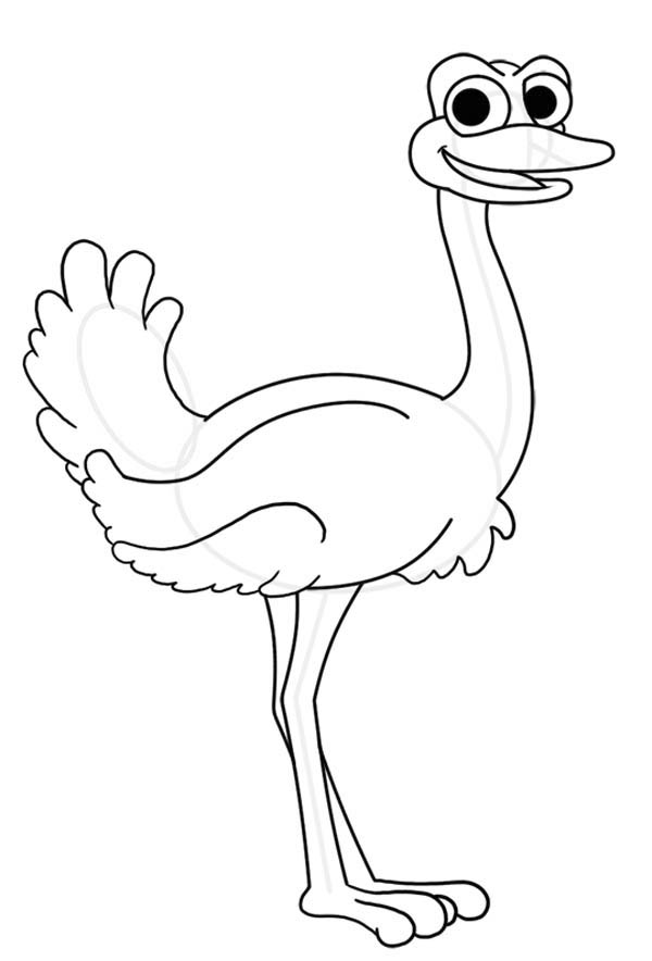 600x884 Cartoon Of An Ostrich Coloring Page Color Luna