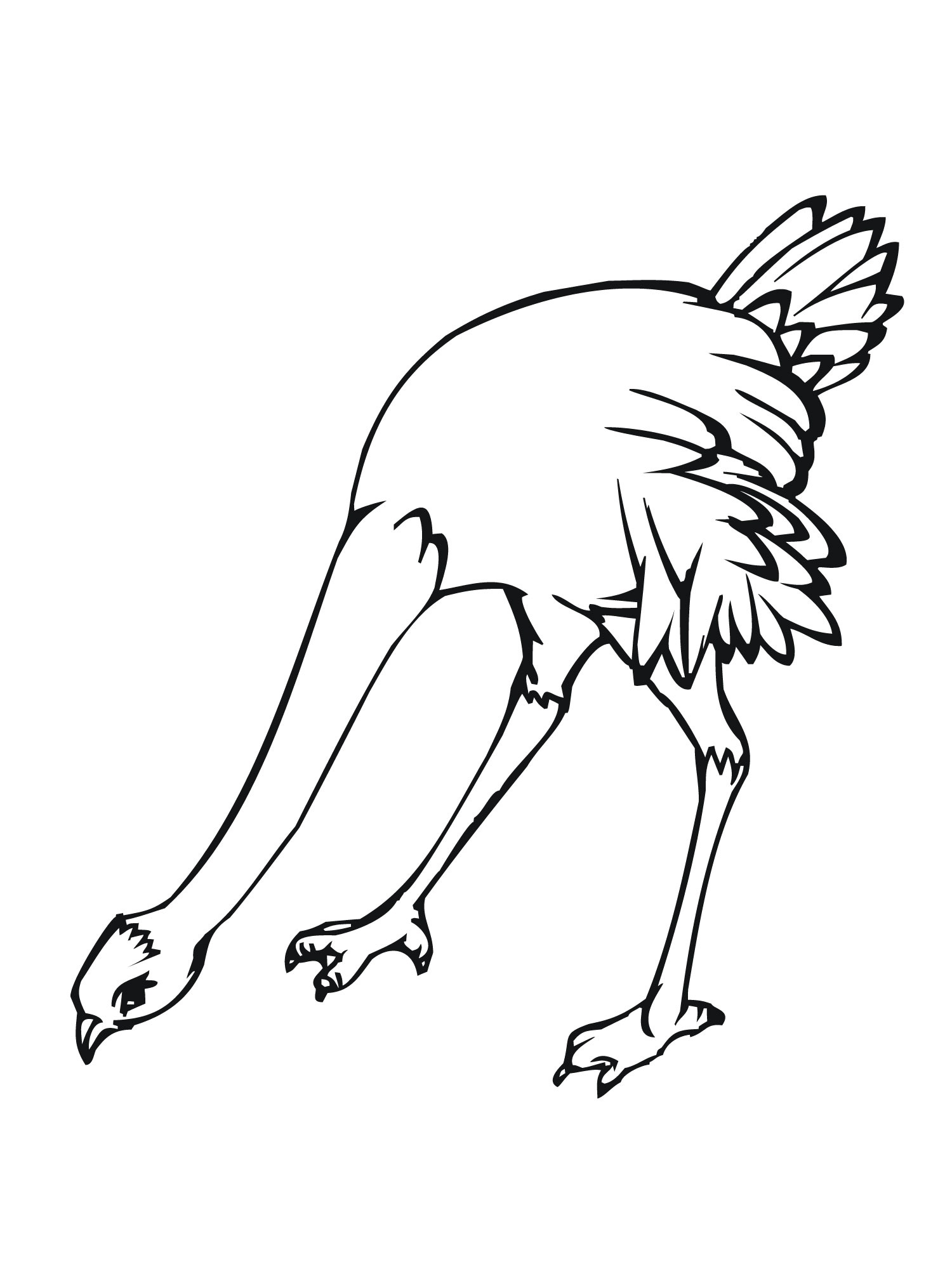 1500x2000 Free Printable Ostrich Coloring Pages For Kids