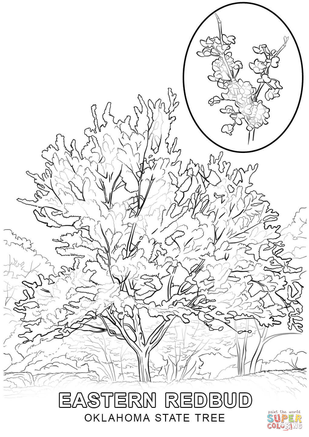 1020x1440 Pistol Pete Coloring Page