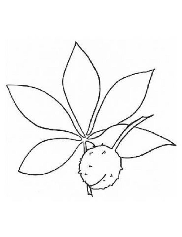 600x778 Ohio State Buckeyes Coloring Pages For Kids Coloring Pages