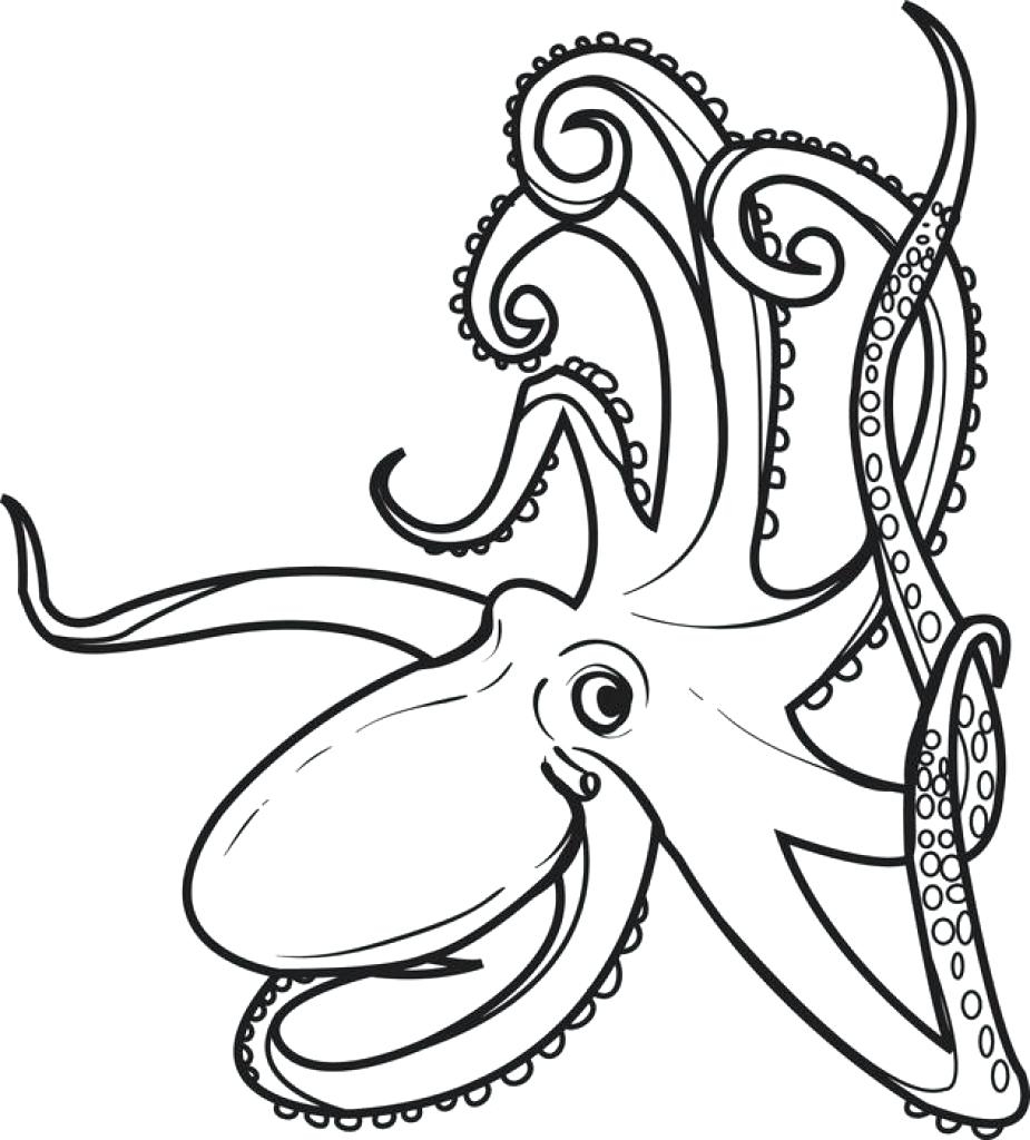New Octopus Page To Color Gallery Printable Coloring Sheet 925x1024 New Octopus Page To Color Gallery Printable Coloring Sheet
