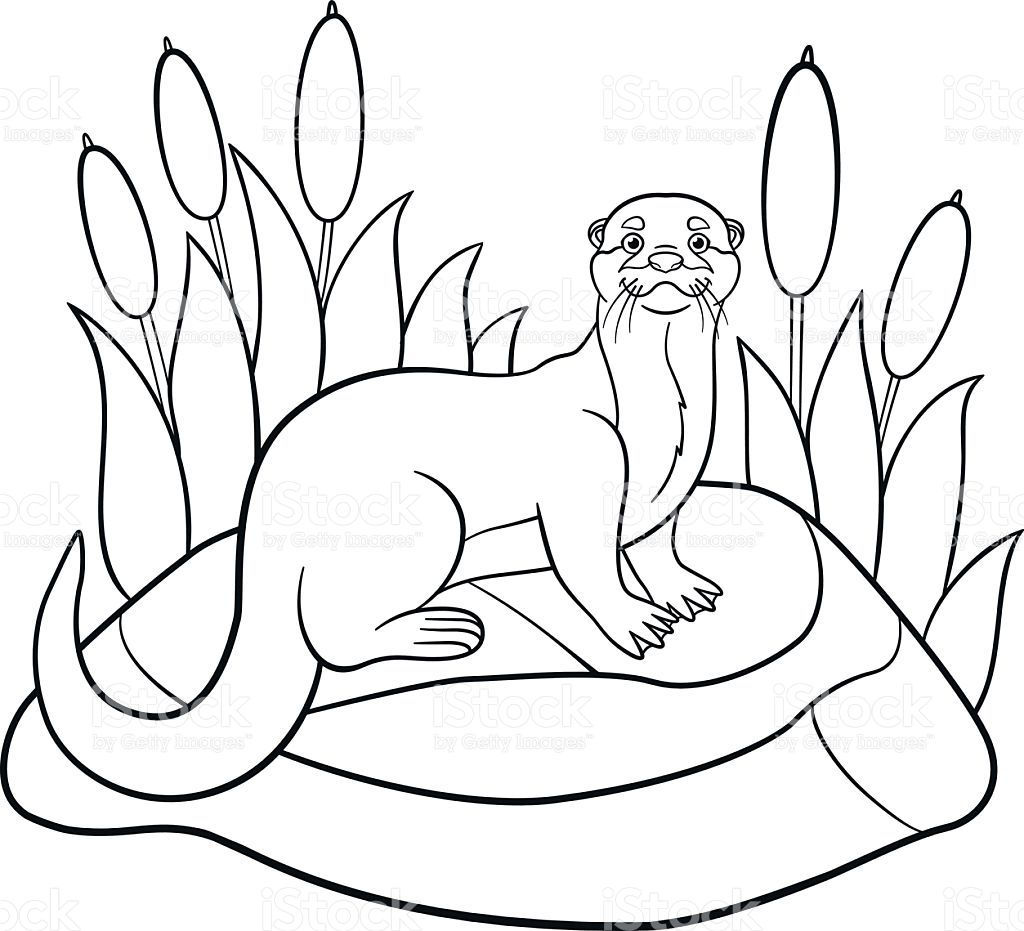 Otter Coloring Pages Free For Otter Coloring Pages 1024x931 Otter Coloring Pages Free For Otter Coloring Pages