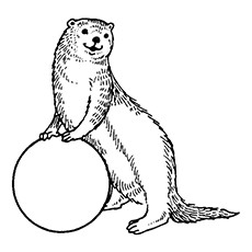 10 Best Otter Coloring Pages For Toddlers 230x230 10 Best Otter Coloring Pages For Toddlers