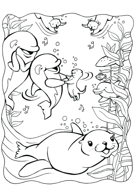 Otter Coloring Pages Otter Coloring Pages Cute Otter Coloring 531x750 Otter Coloring Pages Otter Coloring Pages Cute Otter Coloring