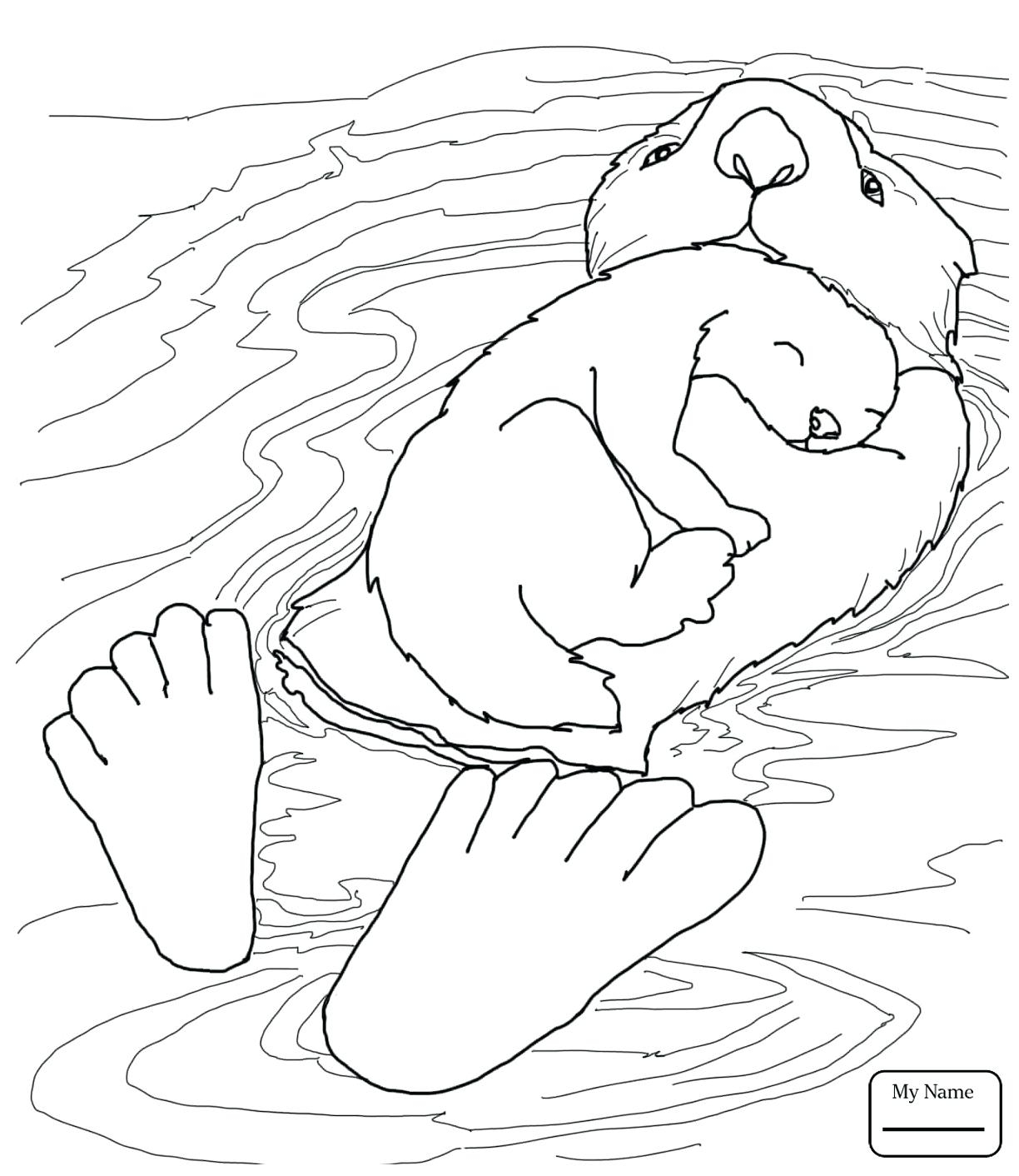 Sea Otters Coloring Pages Gallery Coloring For Kids 2018 1224x1412 Sea Otters Coloring Pages Gallery Coloring For Kids 2018