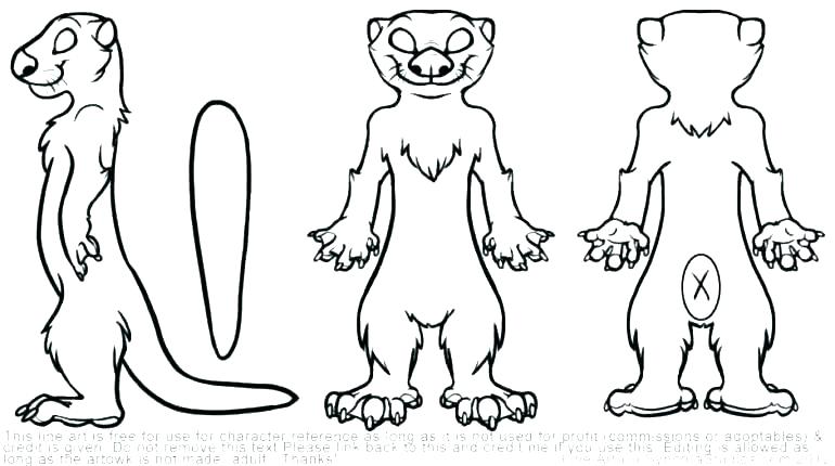 Otter Coloring Pages 770x430 Otter Coloring Pages