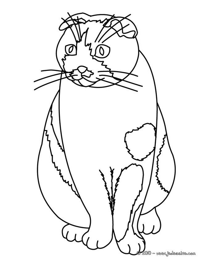 658x850 Coloriage D'Un Chat Assis Imprimer Gratuitement Ou