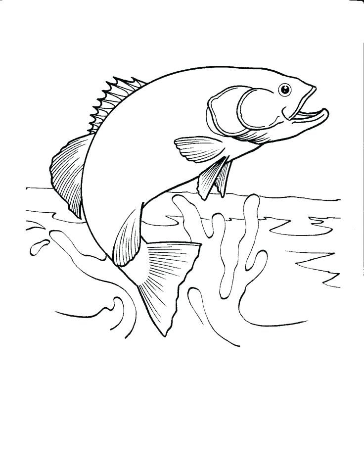 Outdoor Coloring Pages Complete Outdoor Coloring Pages Image Many 736x948 Outdoor Coloring Pages Complete Outdoor Coloring Pages Image Many