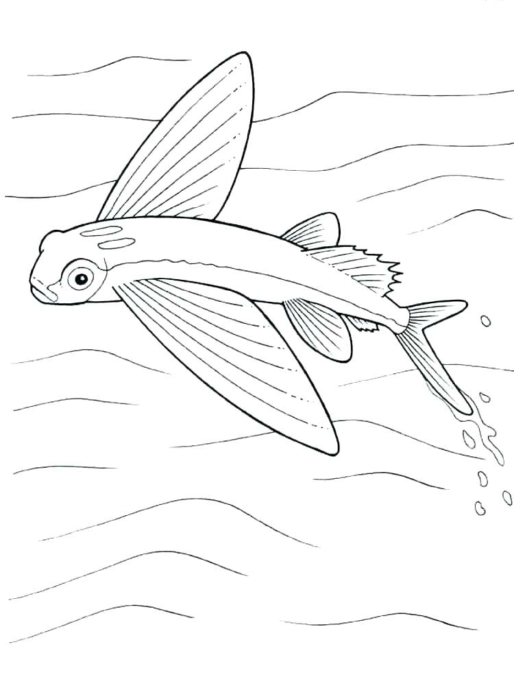 Fish Bowl Coloring Page 750x1000 Fish Bowl Coloring Page