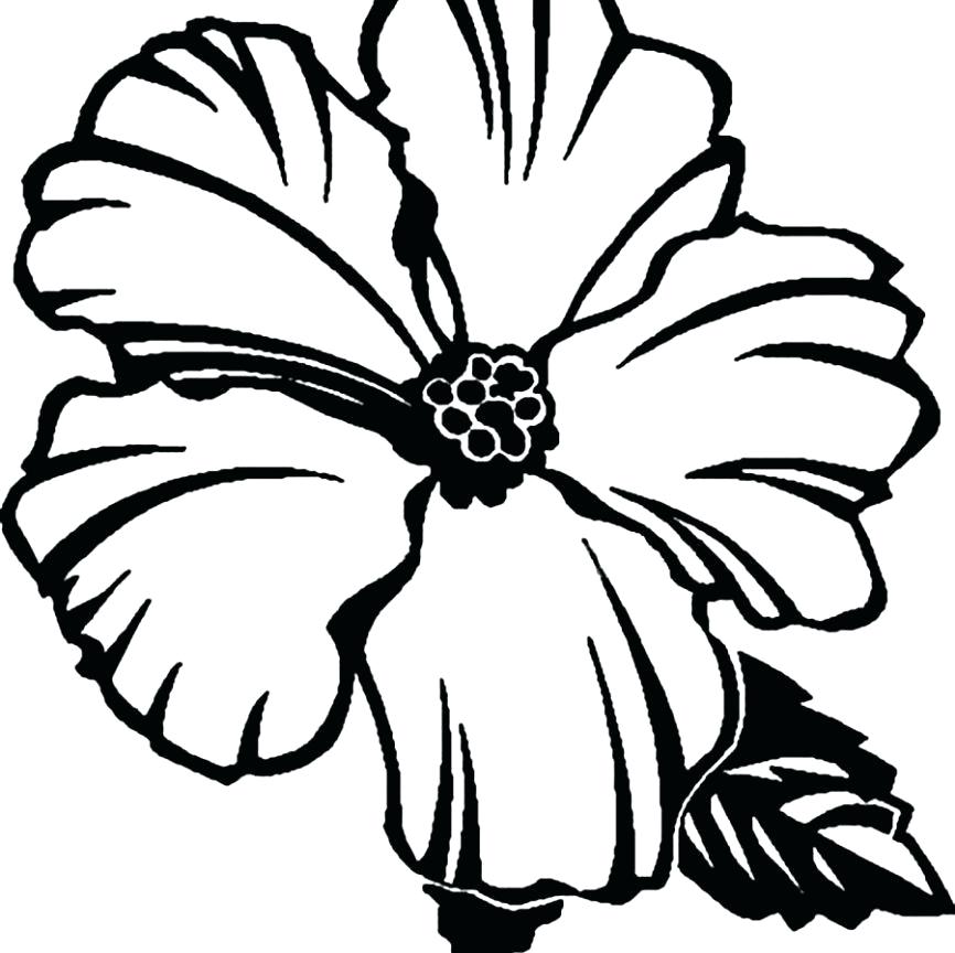 Hibiscus Flower Outline Coloring Page For Kids Flowers Book Sheets 866x864 Hibiscus Flower Outline Coloring Page For Kids Flowers Book Sheets