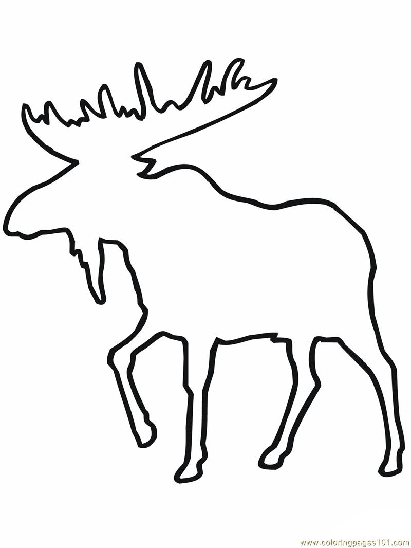 Moose Outline Coloring Page 800x1066 Moose Outline Coloring Page
