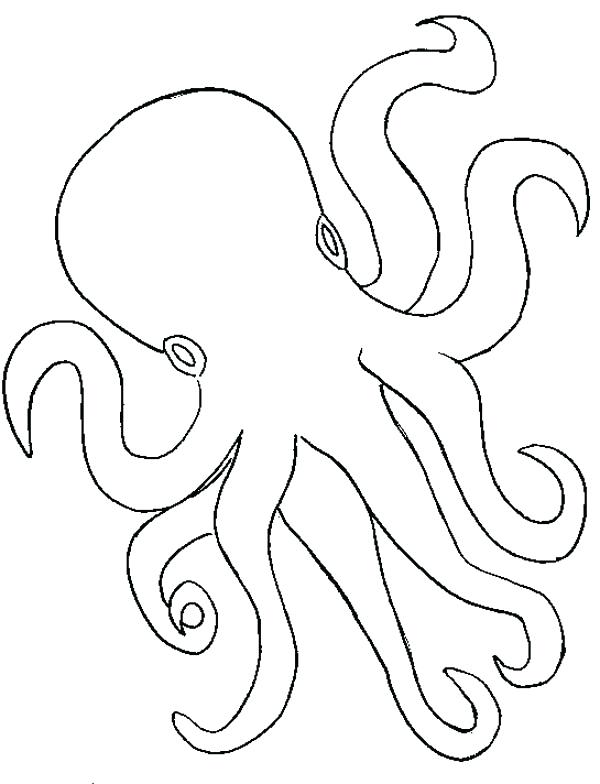 Octopus Color Page Octopus Outline Coloring Page Christmas 600x784 Octopus Color Page Octopus Outline Coloring Page Christmas