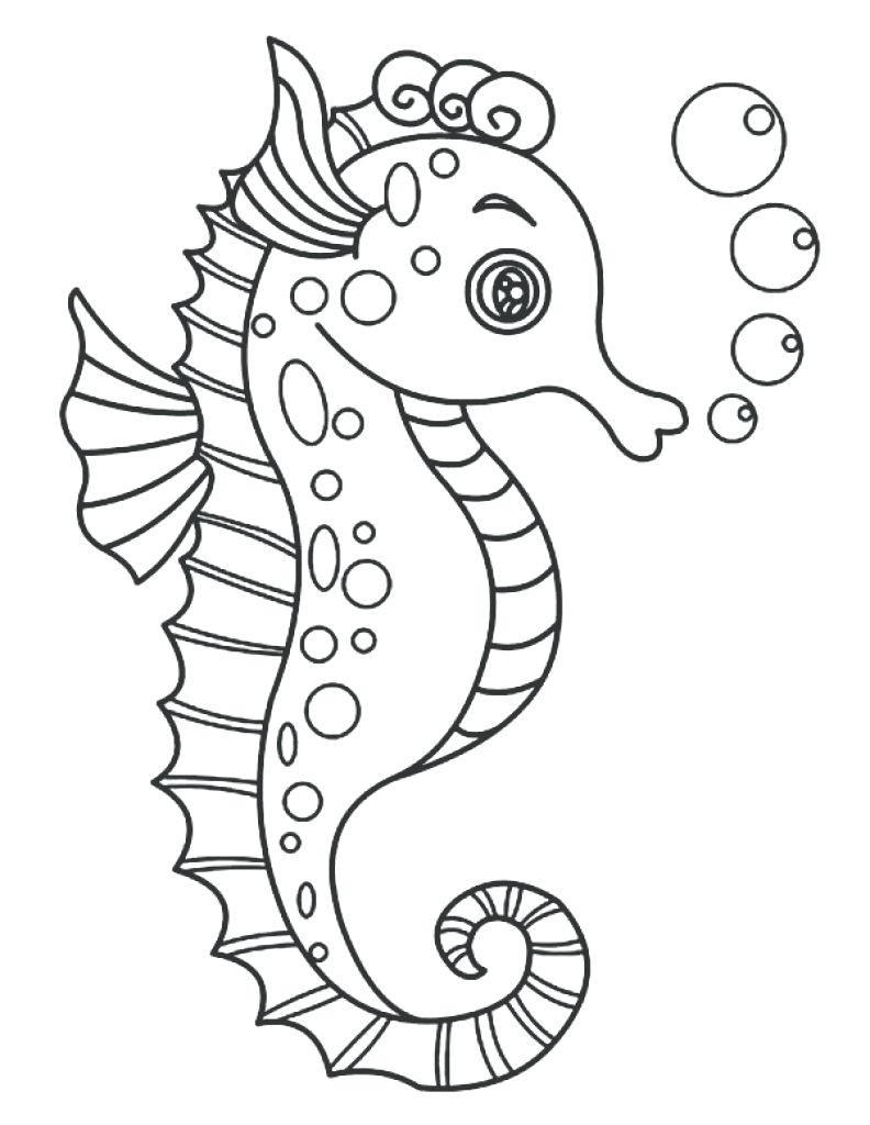 Reference Seahorse Outline 792x1024 Reference Seahorse Outline