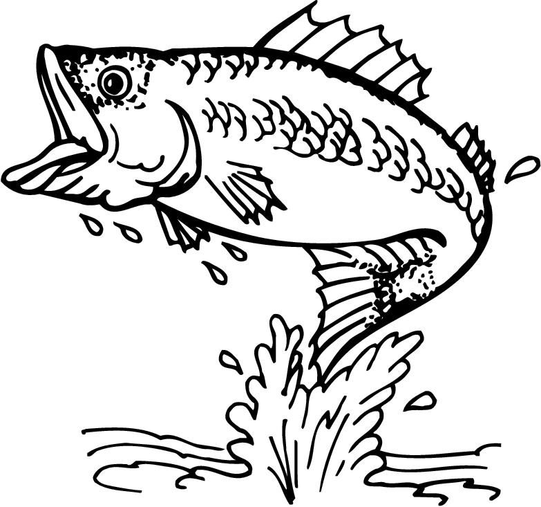 This Is Best Bass Fish Outline 783x733 This Is Best Bass Fish Outline
