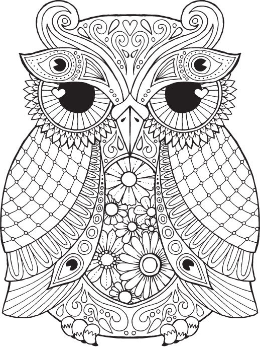 518x689 Bold Design Ideas Owl Coloring Pages For Adults Owl Free Detailed