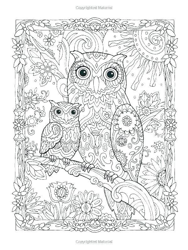 Images Of Owls Coloring Pages Picture To Color 600x800 Images Of Owls Coloring Pages Picture To Color