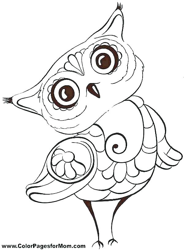 Owl Color Pages Free Owl Coloring Pages Owl Color Page Pin Drawn 600x812 Owl Color Pages Free Owl Coloring Pages Owl Color Page Pin Drawn