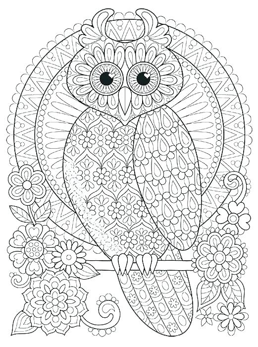 Owl Coloring Pages Free Printable Owl Color Pages Color Your Own 521x700 Owl Coloring Pages Free Printable Owl Color Pages Color Your Own