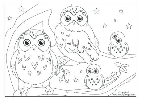Owl Pictures Coloring Pages Guaranteed Owl Color Sheets Exciting 460x325 Owl Pictures Coloring Pages Guaranteed Owl Color Sheets Exciting