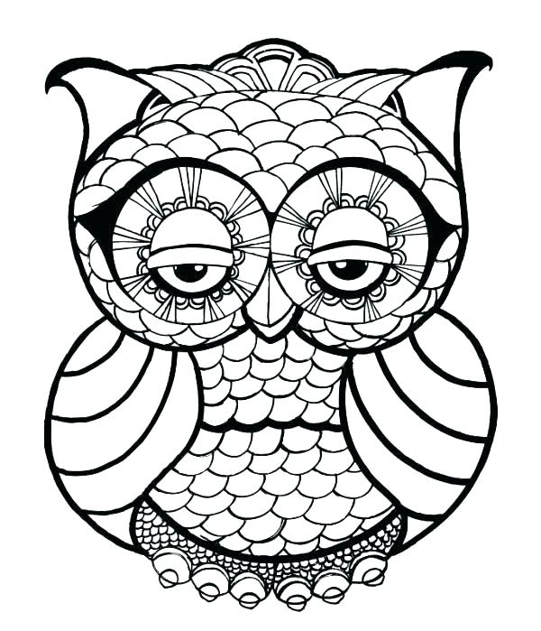 Owl Pictures To Color Or Cute Owl Coloring Pages To Print Fresh 600x699 Owl Pictures To Color Or Cute Owl Coloring Pages To Print Fresh