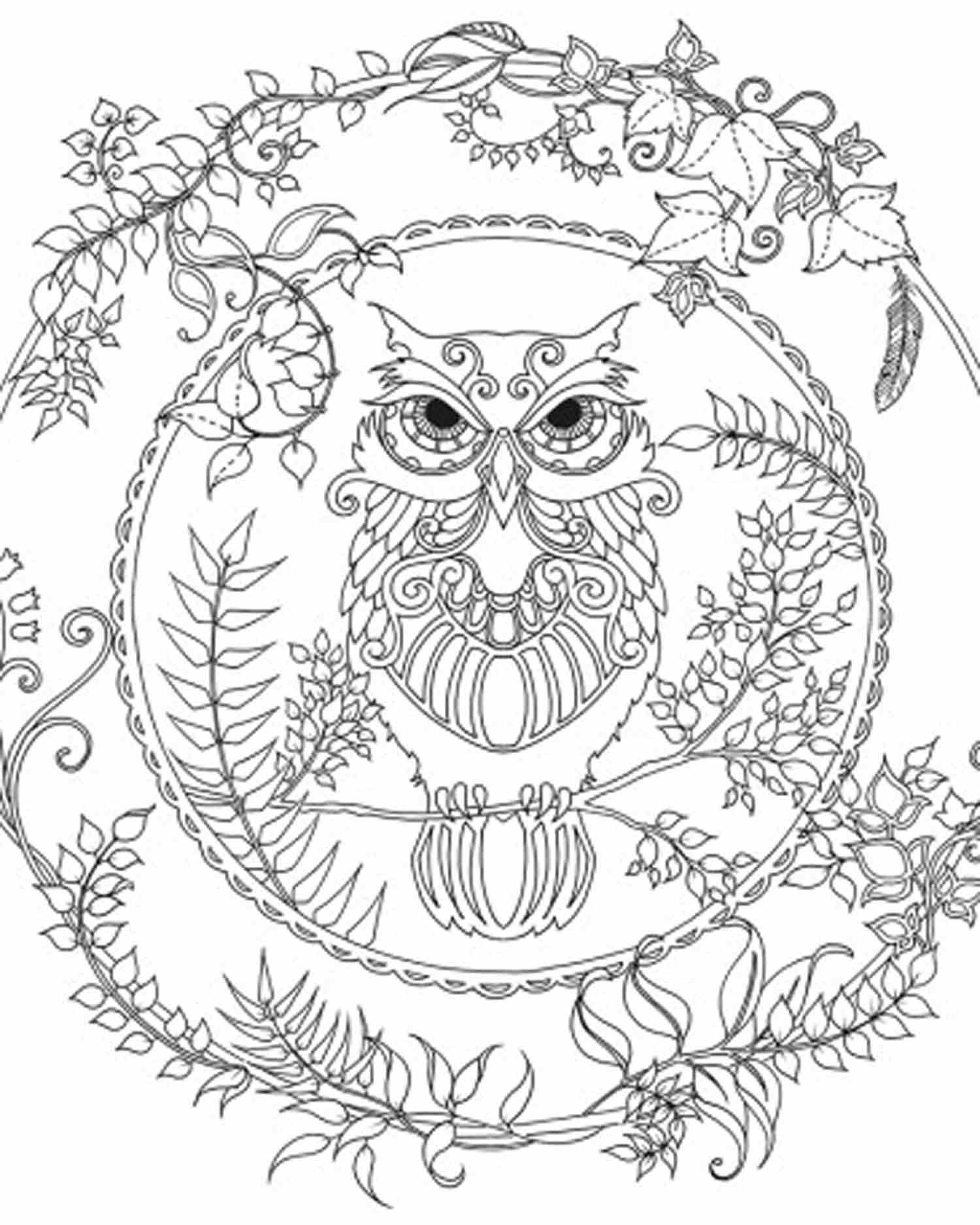 Enchanted Forest Owl Coloring Pages Colouring Adult Detailed 1500x1874 Enchanted Forest Owl Coloring Pages Colouring Adult Detailed